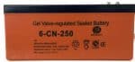 Batterie solaire GEL WIN BRIGHT ​​ 250AH/12V